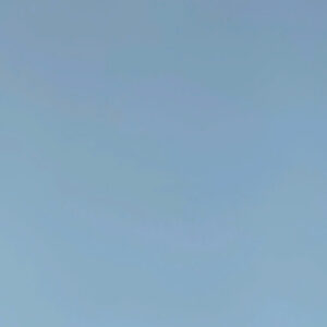 Plywood Melamine 1126