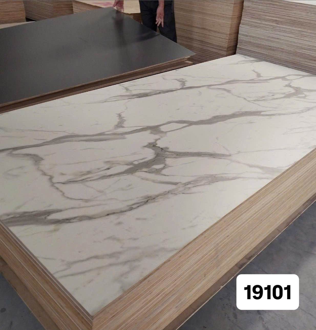 19101 ảnh chụp thực tế