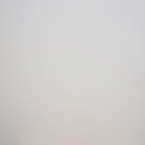 Plywood Melamine 213A