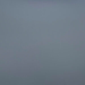 Plywood Melamine 1130