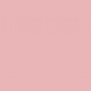 Plywood Melamine 021T