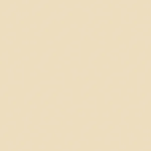 Plywood Melamine 221T