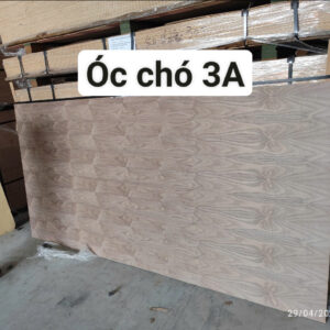 Plywood phủ veneer Óc chó 2A/3A 17mm